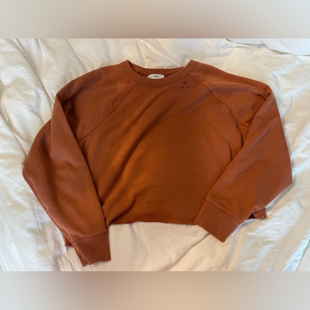 American Eagle Cropped Crewneck